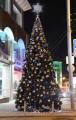 Уличные стволовые елки Уличные стволовые елки